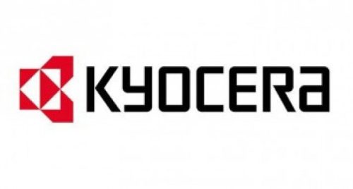 Kyocera DV160 Developer (Eredeti) 2LY93010