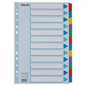   Regiszter, laminált karton, A4, 12 részes, ESSELTE "Mylar"