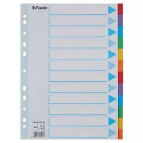   Regiszter, karton, A4, 12 részes, írható előlappal, ESSELTE "Standard", színes