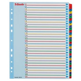   Regiszter, laminált karton, A4 Maxi, 1-31, újraírható, ESSELTE