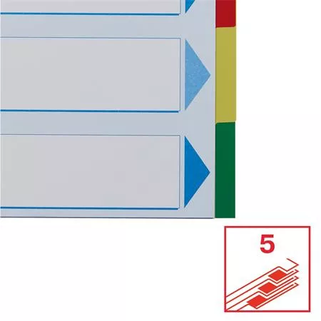 Regiszter, műanyag, A4, 5 részes, ESSELTE