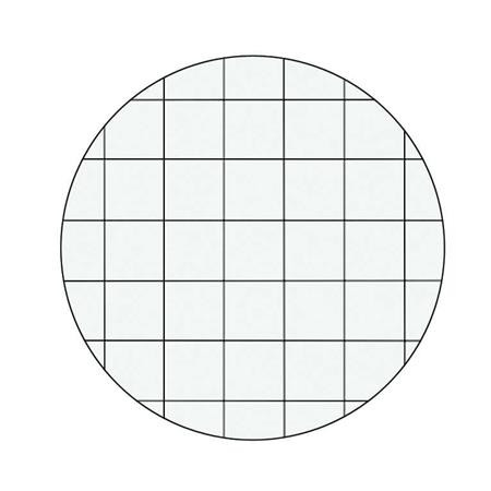 Beíró, A4, kockás, 80 lap, keményfedeles, LEITZ "Wow", kék