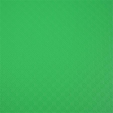 Bemutatómappa, 30 zsebes, A4, EXACOMPTA "Opak", zöld