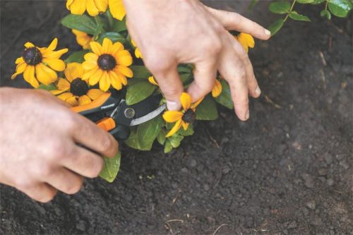 Metszőolló, FISKARS "Solid™ SP14"