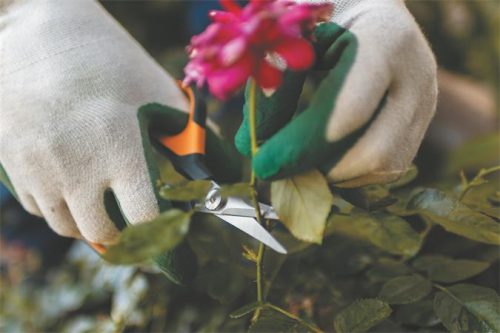 Metszőolló, hegyes, FISKARS "Solid™ SP15"