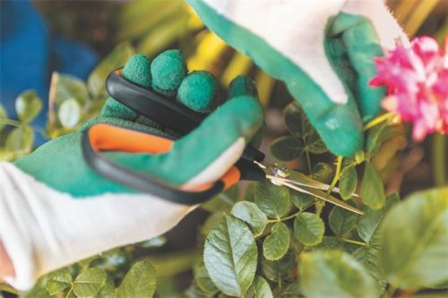 Metszőolló, hegyes, FISKARS "Solid™ SP15"