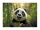 Irattartó tasak, A5 PP, patentos, 180 mikron, PANTA PLAST "Panda"