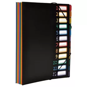   Irattartó mappa, gumis, 12 részes, VIQUEL "Rainbow Class", fekete