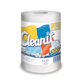   Törlőkendő, tekercses, univerzális, 2 rétegű, LUCART "CLEANIT 300", fehér