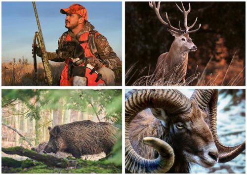 Naptár, fali, DAYLINER, "Vadászat"