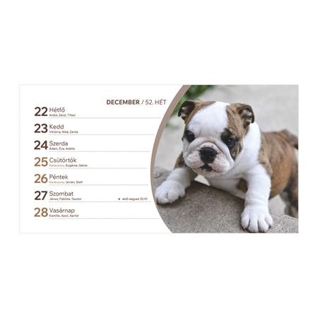 Naptár, asztali, álló, TOPTIMER, "Kutyák"