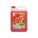 Általános tisztítószer 5 liter Ajax Floral Fiesta Red Flowers