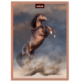   Lovas füzetbox A/4, hullámkarton, gazdaságos kivitel, Nebulo