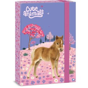 Lovas füzetbox A/4, Ars Una, Horse