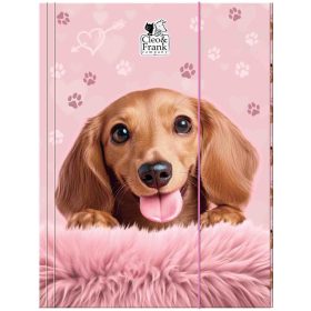 Cleo and Frank gumis mappa A/4, CF46, kutyás