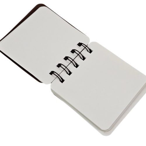 Kapibara spirál notesz figura díszekkel, 8x8,5cm, többféle változat