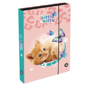 Cicás füzetbox A/5, jumbo, OXY 2026 Cat