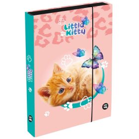 Cicás füzetbox A/4, jumbo, OXY 2026 Cat