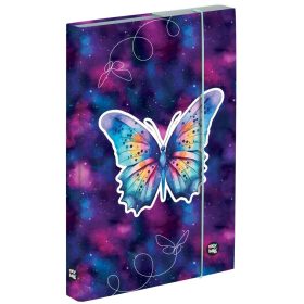 Lepkés füzetbox A/4, OXY 2026 Butterfly