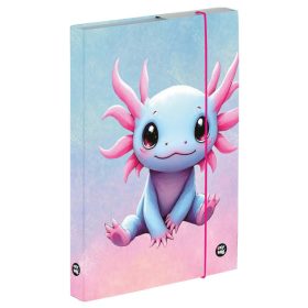 Axolotl füzetbox A/5, OXY 2026