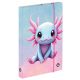 Axolotl füzetbox A/5, OXY 2026
