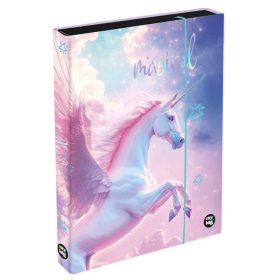 Pegazus füzetbox A/5, jumbo, OXY 2026 Pegas