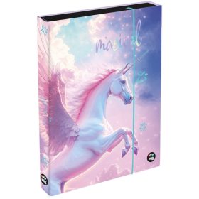 Pegazus füzetbox A/4, jumbo, OXY 2026 Pegas