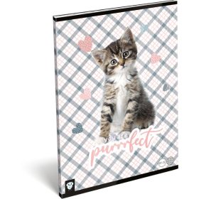   Lizzy Card cicás tűzött füzet A/4, 32 lap kockás, Purrrfect