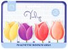 Tulipán mágneses könyvjelző, 4 db/csomag