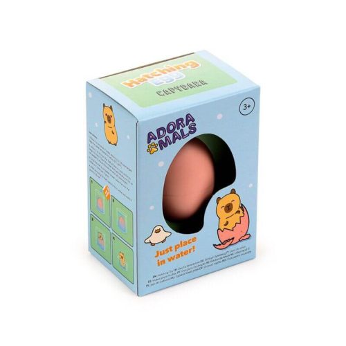 Tojásból kikelő kapibara, 1 db