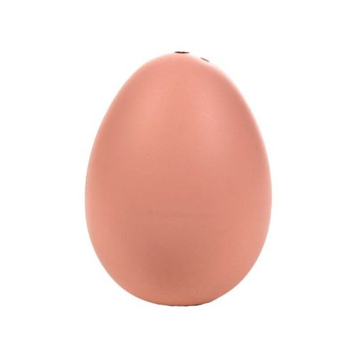 Tojásból kikelő kapibara, 1 db