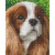 Pixel szett 1 normál alaplappal, színekkel, kutya, logó fülű (801319)
