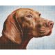 Pixel szett 4 normál alaplappal, színekkel, kutya, vizsla (804466)