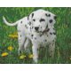 Pixel szett 9 normál alaplappal, színekkel, kutya, dalmata (809280)
