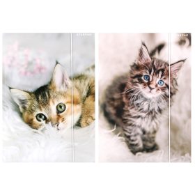 Cicás gumis mappa A/4, Starpak, kétféle (559717)