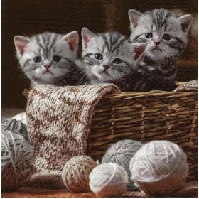   Ti-Flair Szalvéta 33X33 cm 3 Rétegű 20 lap/Csomag Striped Kittens 371056