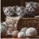 Ti-Flair Szalvéta 33X33 cm 3 Rétegű 20 lap/Csomag Striped Kittens 371056