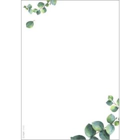   Előnyomott papír, kétoldalas, A5, 90 g. SIGEL "Eucalyptus"