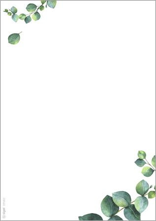 Előnyomott papír, kétoldalas, A5, 90 g. SIGEL "Eucalyptus"