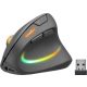 Egér, vezeték nélküli, optikai, vertikális, USB, SPEEDLINK "Piavo Pro", fekete
