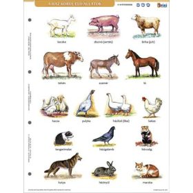   Tanulói munkalap, A4, STIEFEL" A ház körül élő állatok"