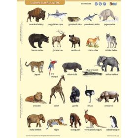   Tanulói munkalap, A4, STIEFEL" Vadon élő állatok"